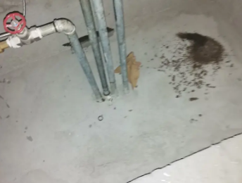 梅州市卫生间测漏水价格明细