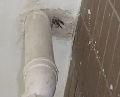 梅州市漏水检测哪家好